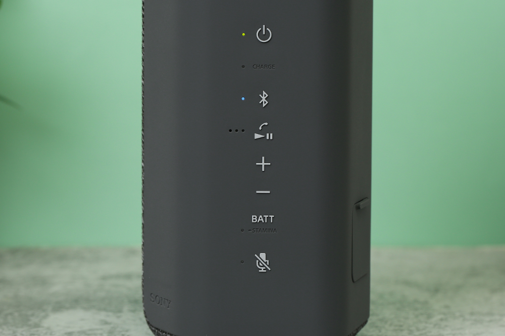 Loa Bluetooth Sony SRS-XE200 - 20