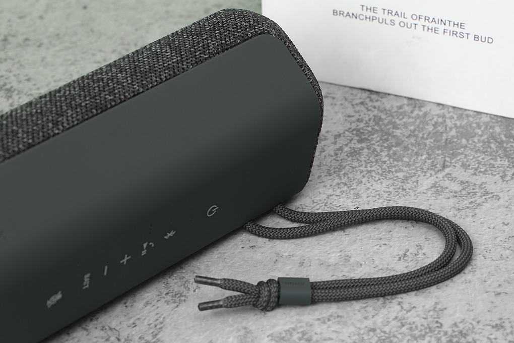 Loa Bluetooth Sony SRS-XE200 - 28