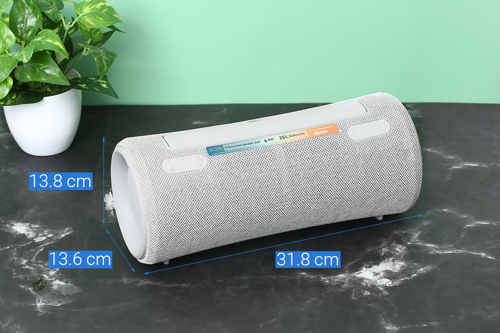 Loa Bluetooth Sony SRS-XG300 - 17
