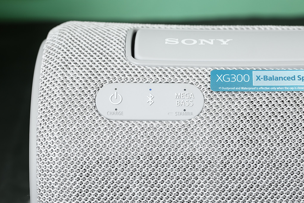 Loa Bluetooth Sony SRS-XG300 - 13
