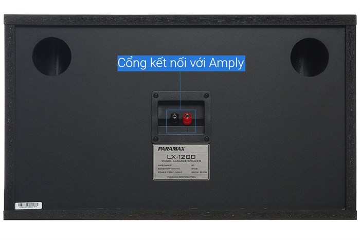 Combo bộ dàn âm thanh Paramax 1200
