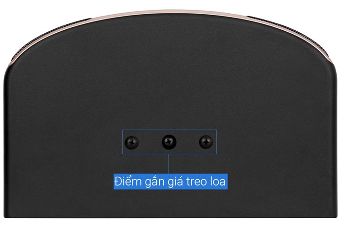 Combo bộ dàn âm thanh BA100-Pasion 8