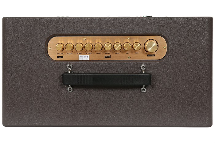 Loa karaoke xách tay Jammy N2070K 350W Màu Nâu