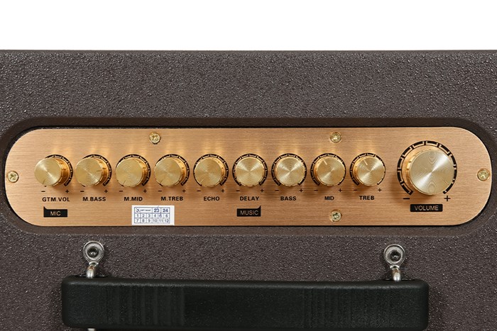 Loa karaoke xách tay Jammy N2070K 350W Màu Nâu