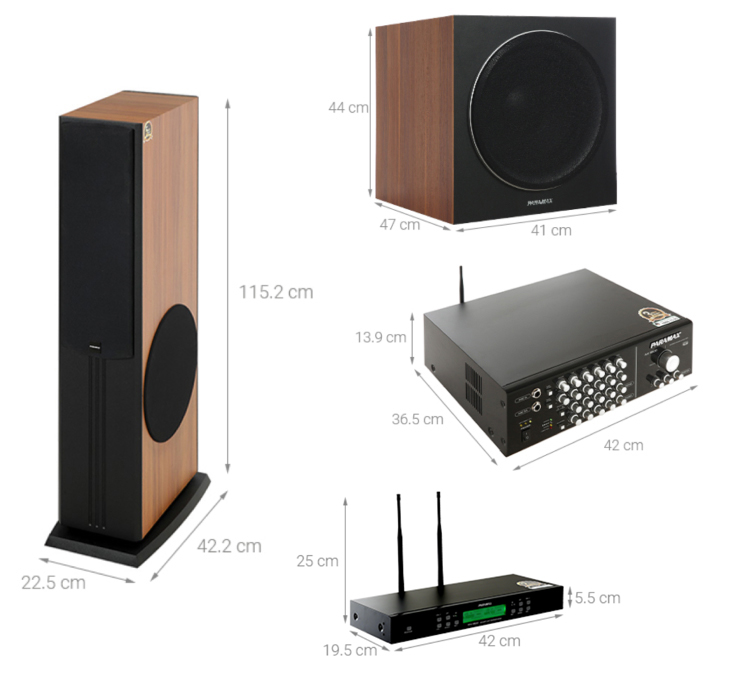 Combo bộ dàn âm thanh Paramax 3800