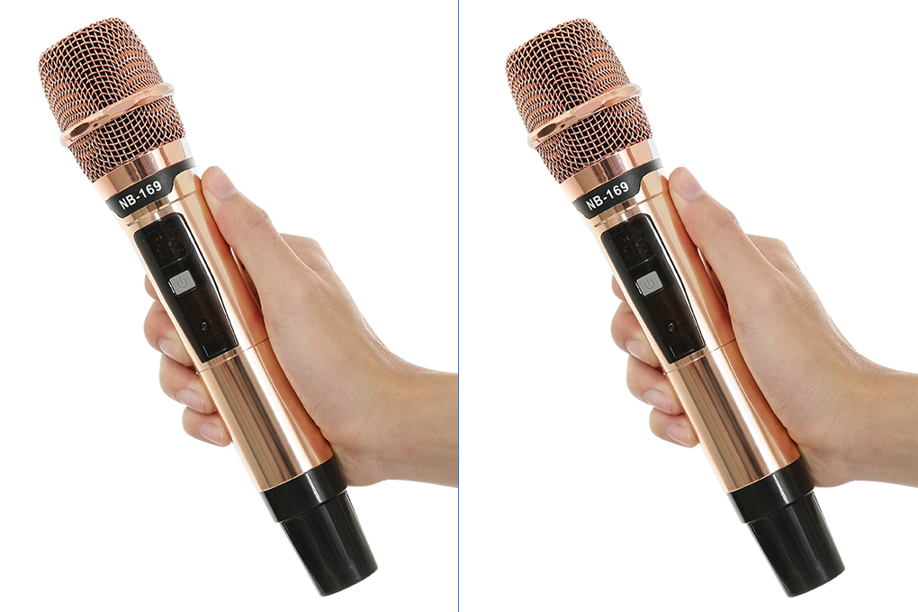 Loa kéo karaoke Birici NB-6889 1200W Màu Đen - Vàng