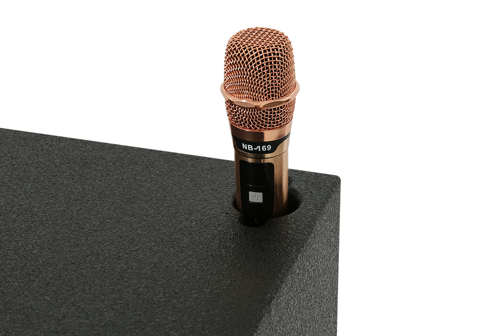 Loa kéo karaoke Birici NB-6889 1200W Màu Đen - Vàng
