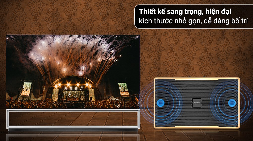 Cặp loa karaoke Paramax Z-2500 1000W