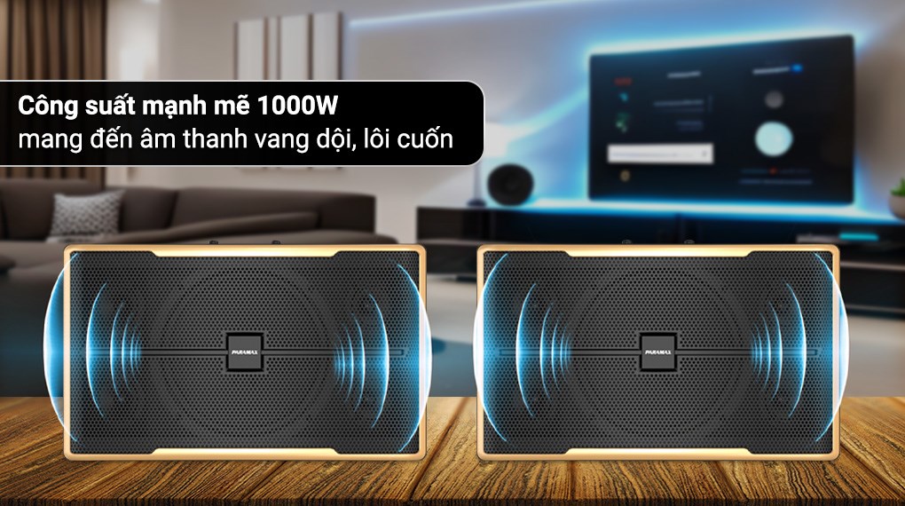 Cặp loa karaoke Paramax Z-2500 1000W