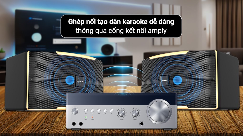 Cặp loa karaoke Paramax Z-2500 1000W