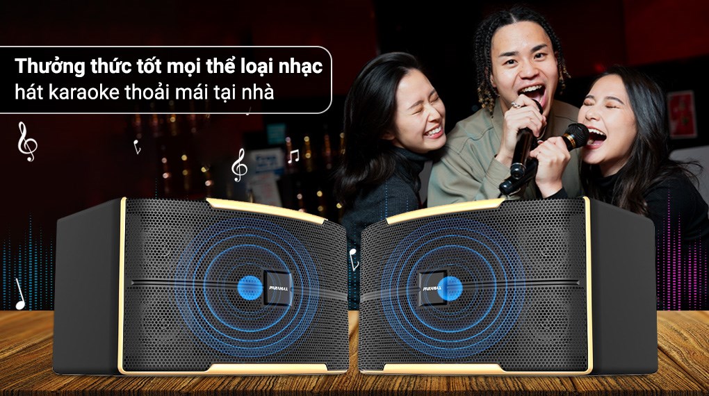 Cặp loa karaoke Paramax Z-2500 1000W