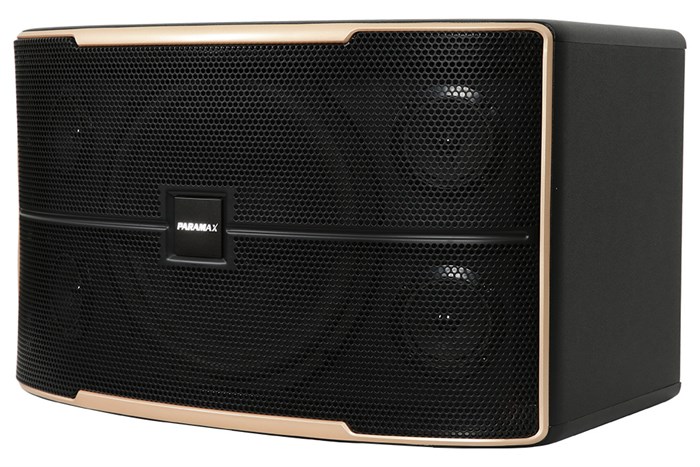 Cặp loa karaoke Paramax Z-2500 1000W Màu Đen