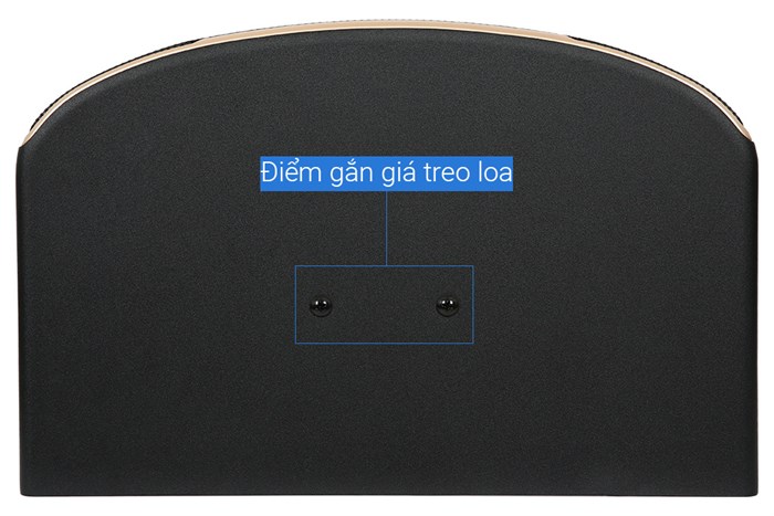 Cặp loa karaoke Paramax Z-2500 1000W Màu Đen