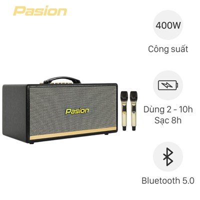 Loa Paramax Pasion 2 karaoke xách tay công suất 400W