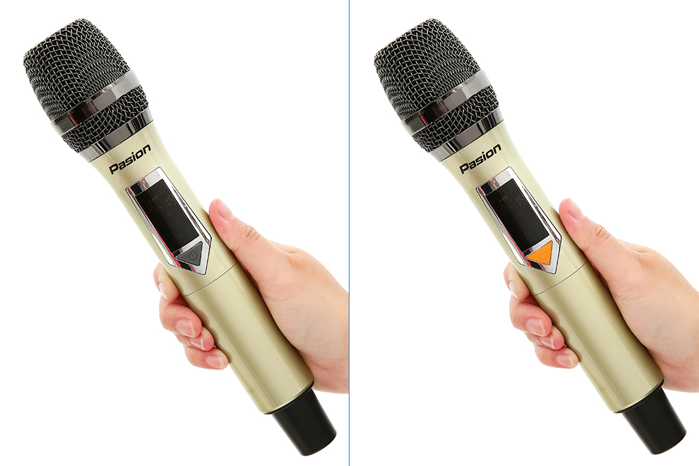 Loa karaoke xách tay PASION 2 400W Màu Đen