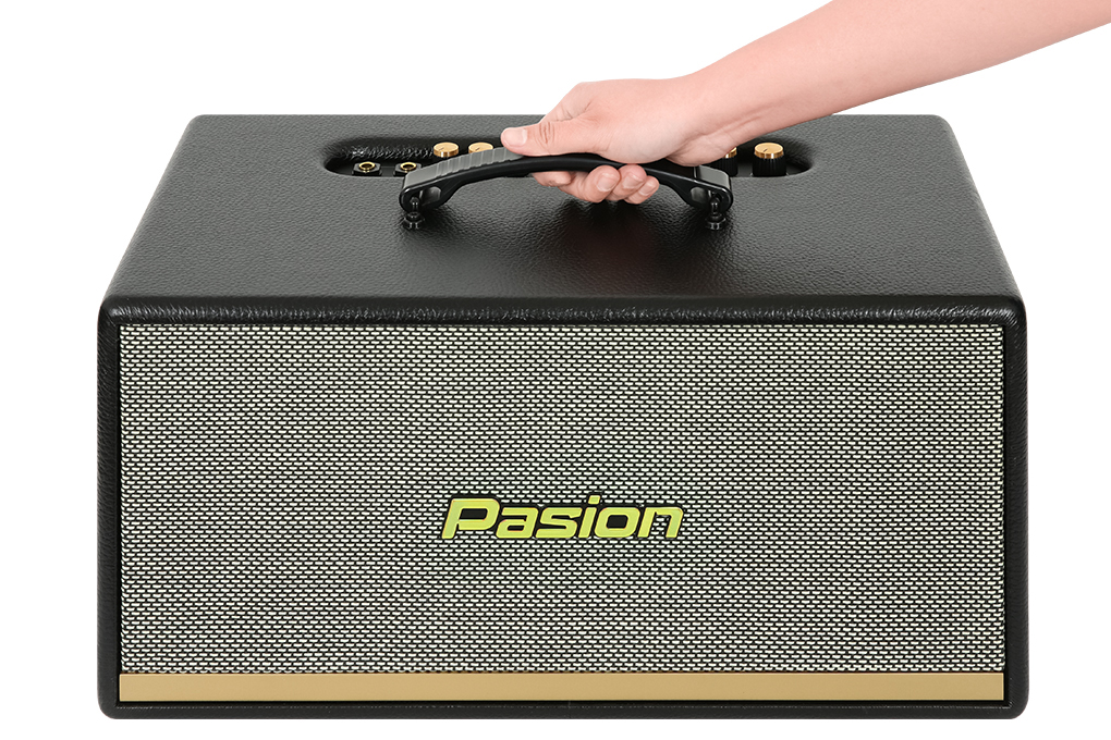 Loa karaoke xách tay PASION 2 400W Màu Đen