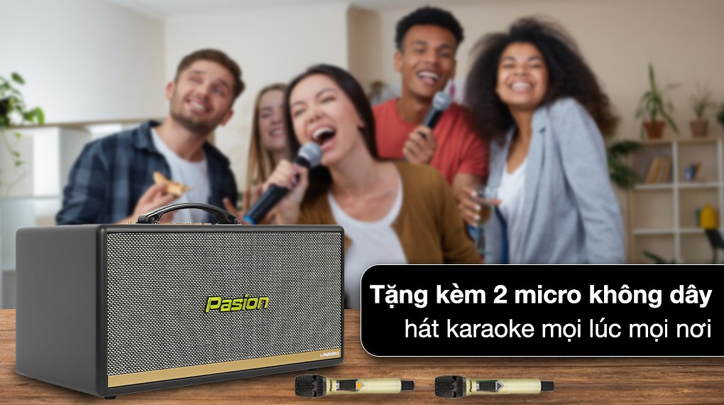 Loa karaoke xách tay PASION 2c Grey 400W