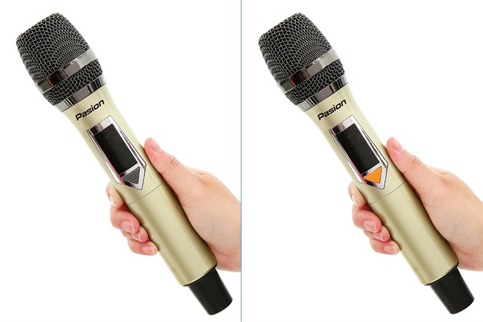 Loa karaoke xách tay PASION 2c Grey 400W Màu Xám