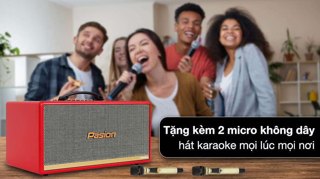 Loa karaoke xách tay PASION 2c Red 400W