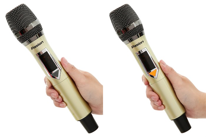 Loa karaoke xách tay PASION 2c Gold 400W Màu Vàng