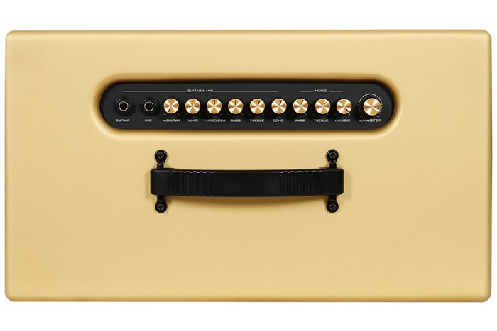 Loa karaoke xách tay PASION 2c Gold 400W Màu Vàng