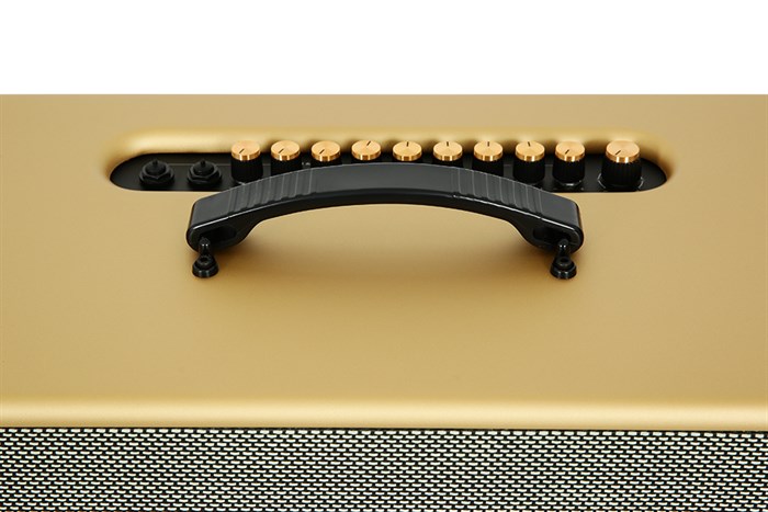 Loa karaoke xách tay PASION 2c Gold 400W Màu Vàng