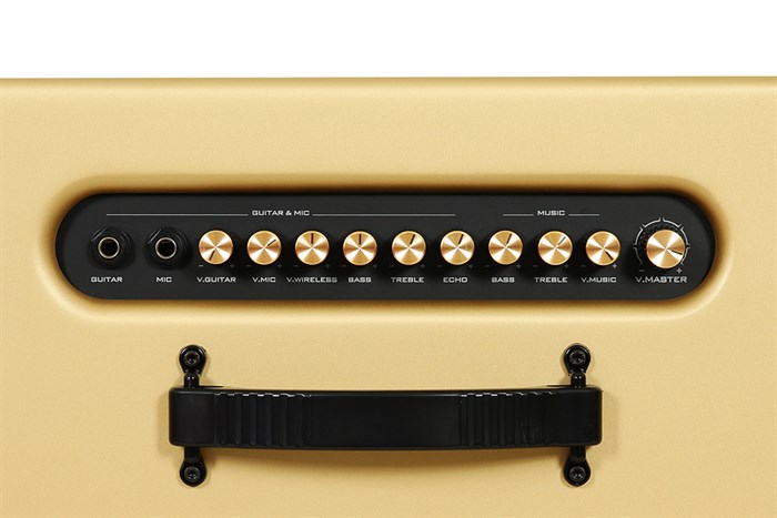 Loa karaoke xách tay PASION 2c Gold 400W Màu Vàng