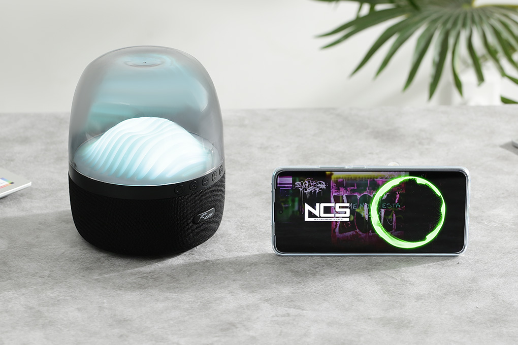 Loa Bluetooth Rezo Home Series One - 8