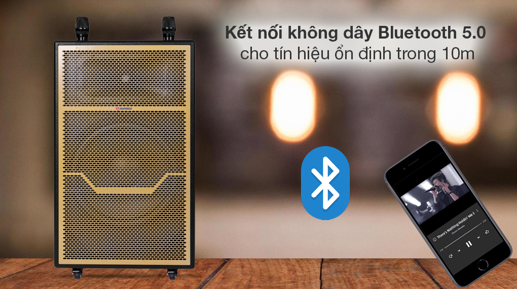 Loa kéo karaoke Sumico DSP40 600W - Khả năng kết nối