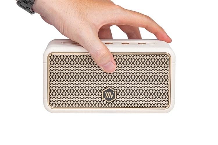 Loa Bluetooth Alpha Works AW-W38 Màu Trắng