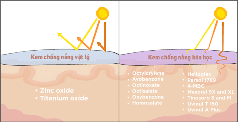 kem chống nắng vật lý và hóa học