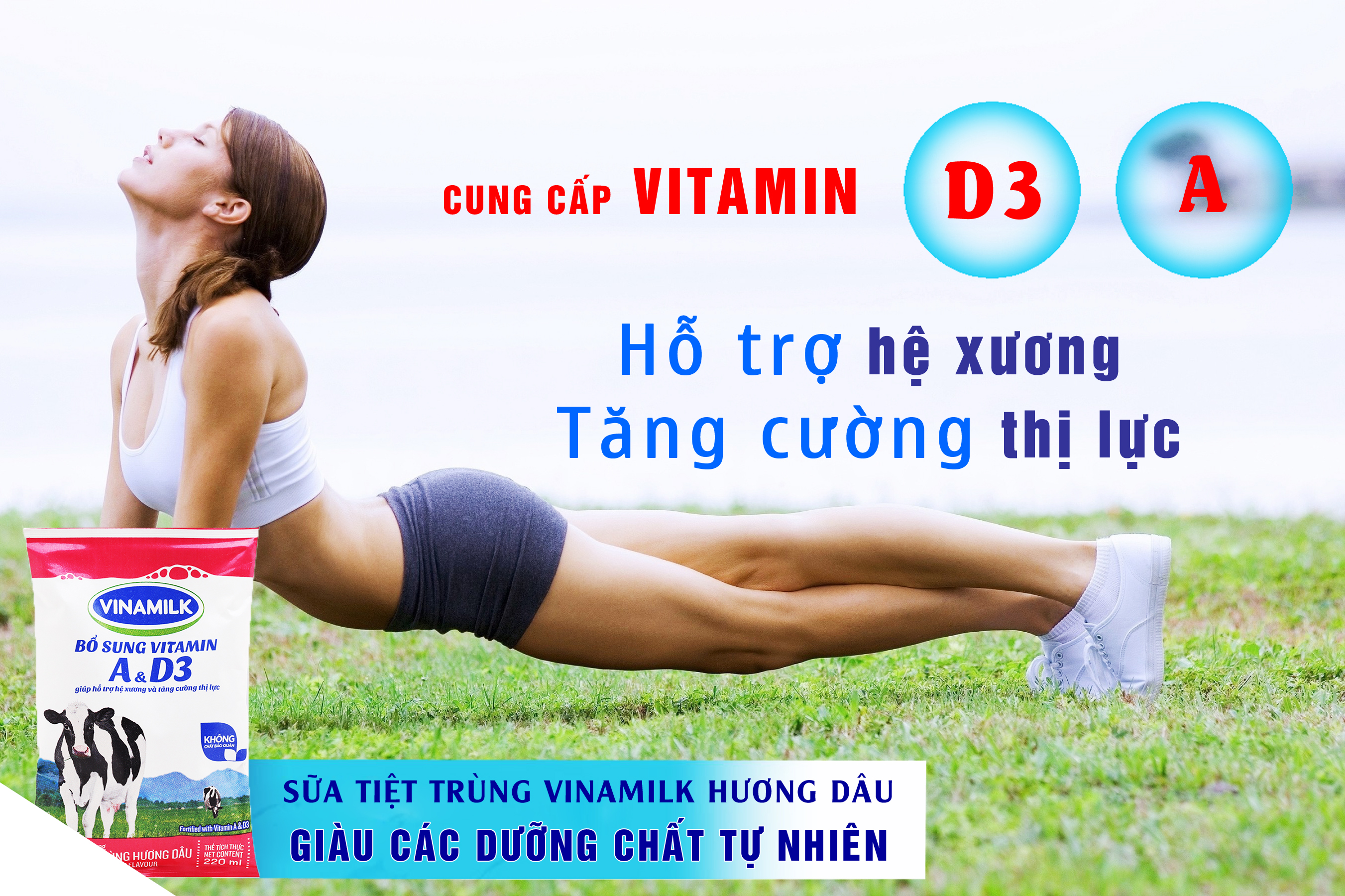 Sữa tiệt trùng Vinamilk hương Dâu bịch 220ml