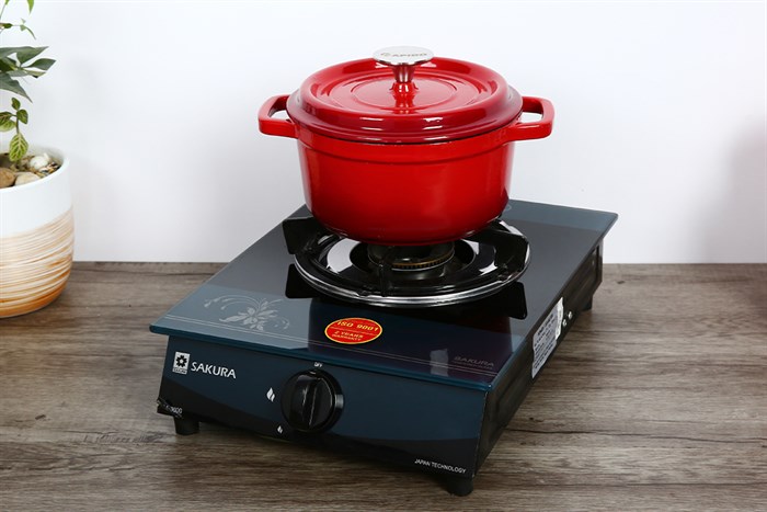 Nồi gang đúc 20 cm Rapido RK20-RD Màu Đỏ