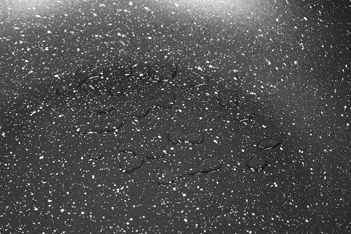 Chảo nhôm sâu chống dính vân đá đáy từ 28 cm Delites CE006-28 Màu Đen