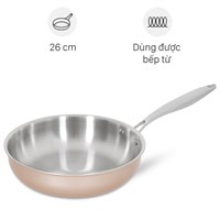 Chảo inox nguyên khối sâu đáy từ 26 cm Green Cook GCP245-26IH