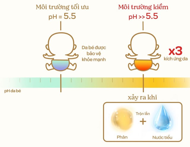 Bề mặt