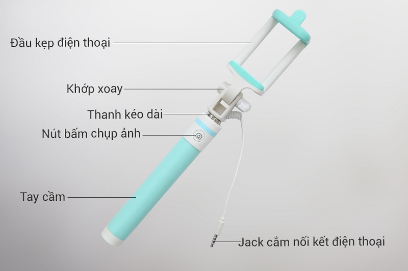 Các chi tiết