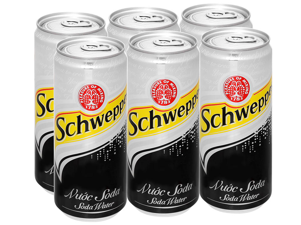 https://cdn.tgdd.vn/Products/Images/2443/128857/bhx/loc-6-lon-soda-schweppes-330ml-201912301330234589.jpg