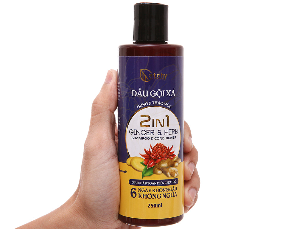 Dầu gội xả Catchy gừng và thảo mộc 250ml 5