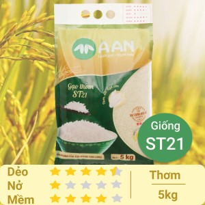 Gạo thơm A An ST21 túi 5kg