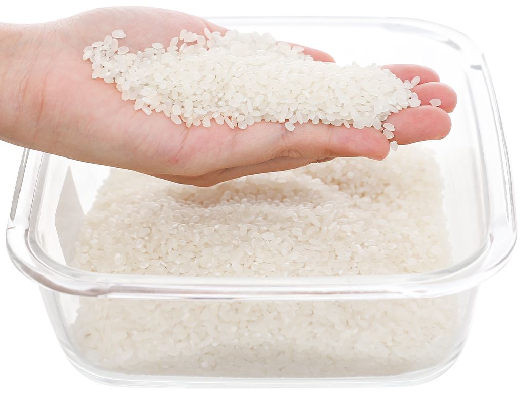 Gạo Nhật Japonica A An túi 5kg 7