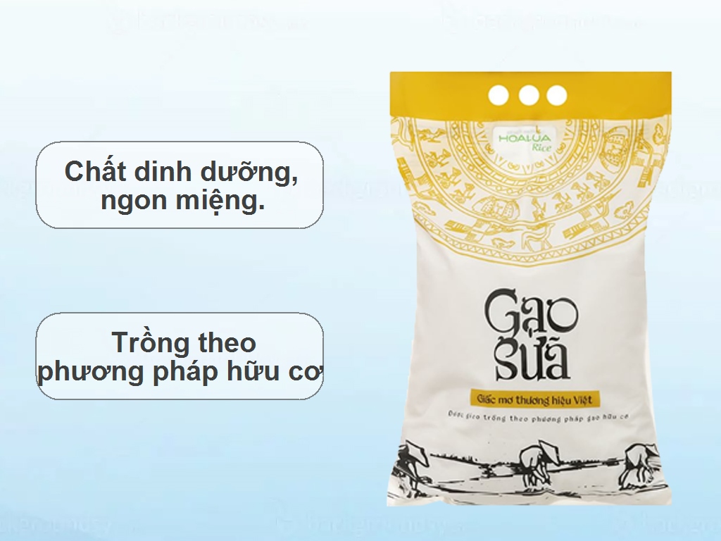 Gạo sữa Hoa Lúa túi 5kg 2