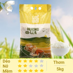 Gạo Lạc Việt hương lúa túi 5kg