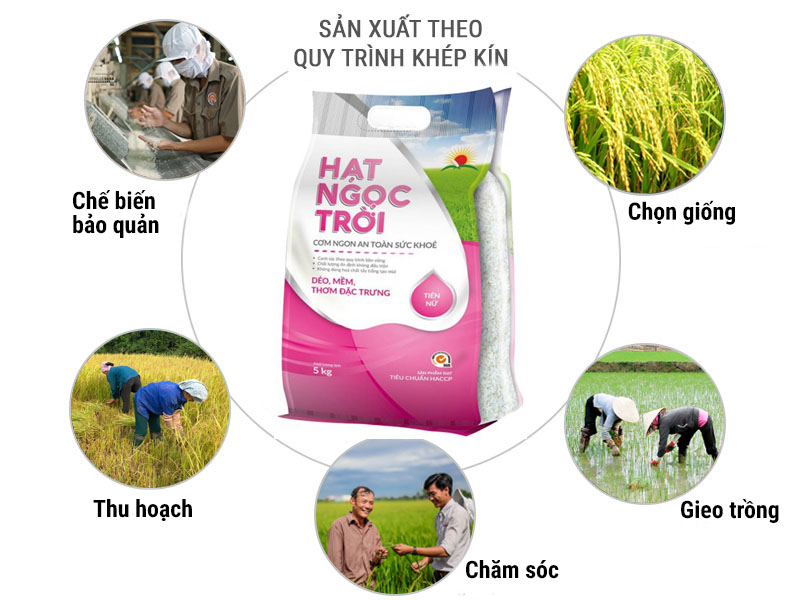 Gạo Hạt Ngọc Trời Tiên Nữ 5kg