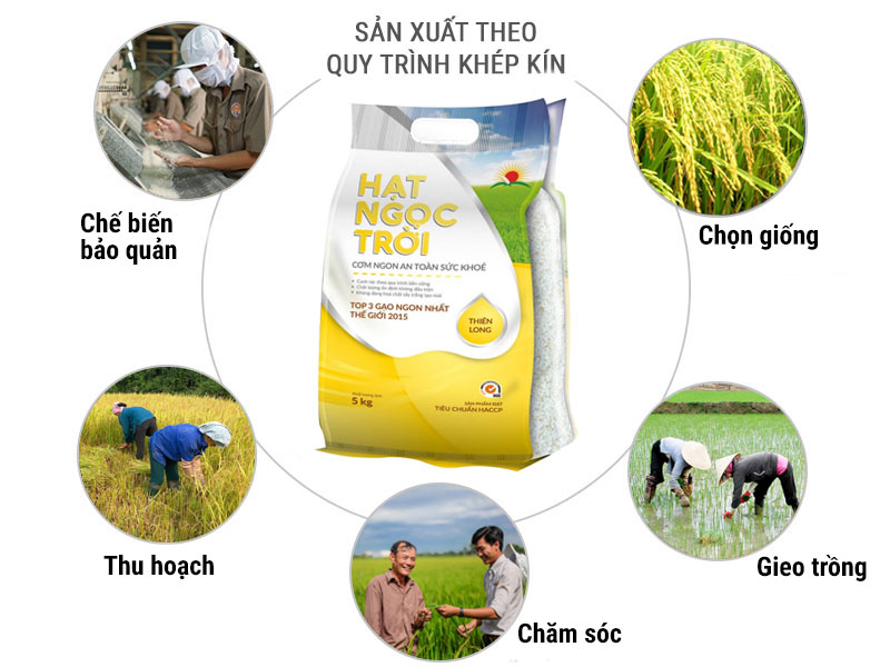 Gạo Hạt Ngọc Trời Thiên Long 5kg