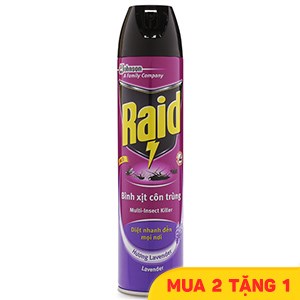 Bình xịt côn trùng Raid