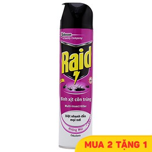 Bình xịt côn trùng Raid
