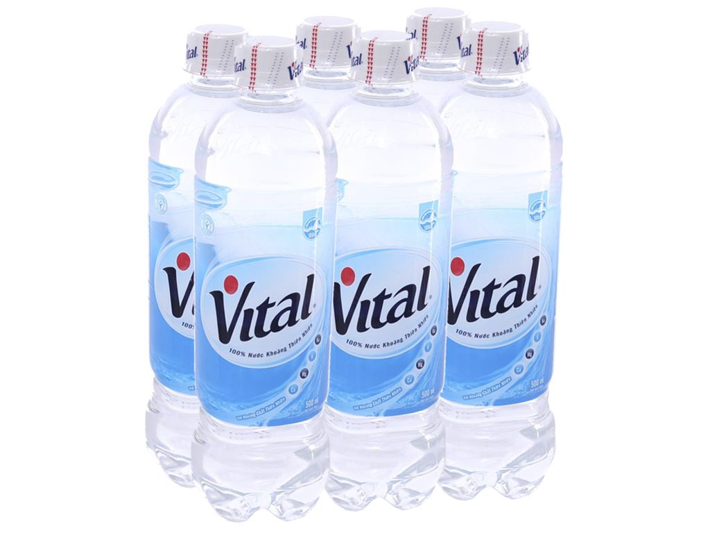 https://cdn.tgdd.vn/Products/Images/2563/196000/bhx/6-chai-nuoc-khoang-vital-500ml-201904221102212413.jpg