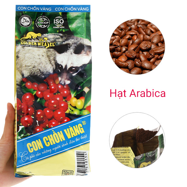 Cà phê Con chồn vàng Cacao - Chocolate 500g