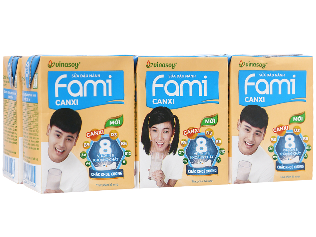 https://cdn.tgdd.vn/Products/Images/2943/203659/bhx/loc-6-hop-sua-dau-nanh-fami-canxi-it-duong-200ml-201906111444007704.jpg